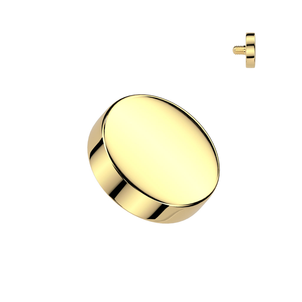 Implant Grade Titanium Internally Threaded Flat Round Top